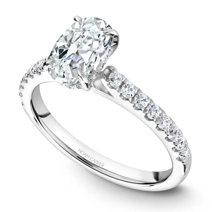 Noam Carver White Gold Diamond Engagement Ring Setting with Oval Center Stone 037 CTW International Diamond Center Rings Noam Carver White Gold Diamond Engagement Ring Setting with Oval Center Stone 037 CTW International Diamond Center Rings