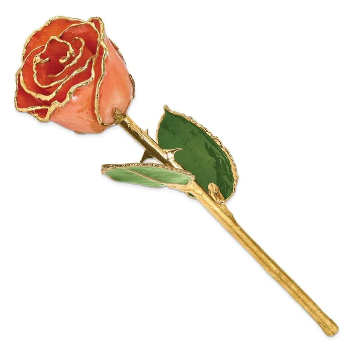 Jewelry Earrings Lacquer Dipped Gold Trim Orange Rose Jewelry Earrings Lacquer Dipped Gold Trim Orange Rose