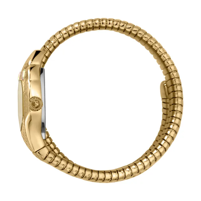 Just Cavalli Just Cavalli Women Watch Gold Color Case Champagne Dial Gold Color Stainless Steel Metal Bracelet Bracelets Just Cavalli Just Cavalli Women Watch Gold Color Case Champagne Dial Gold Color Stainless Steel Metal Bracelet Bracelets