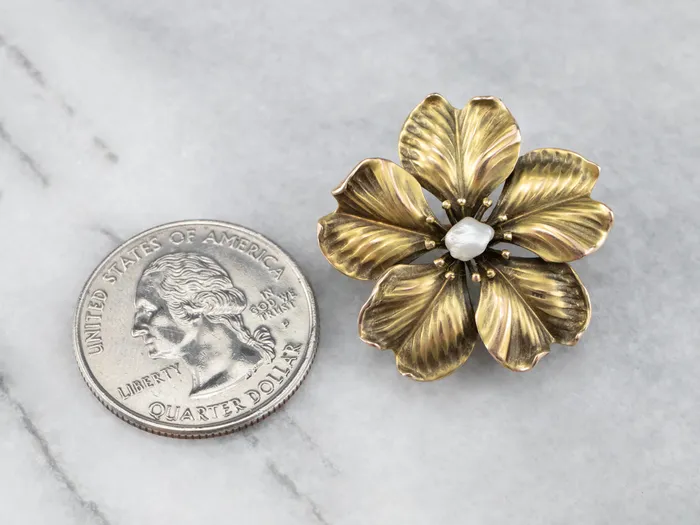 Antique Baroque Pearl Flower Pin or Pendant Market Square Jewelers Necklaces Antique Baroque Pearl Flower Pin or Pendant Market Square Jewelers Necklaces
