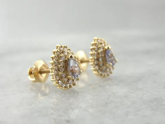 Market Square Jewelers Earrings Tanzanite and Diamond Double Halo Stud Earrings Market Square Jewelers Earrings Tanzanite and Diamond Double Halo Stud Earrings