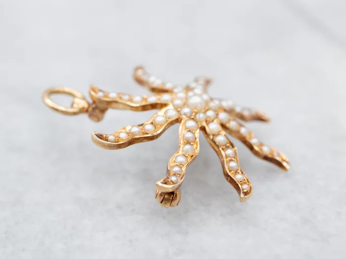 Market Square Jewelers Necklaces Victorian Seed Pearl Starburst Brooch or Pendant Market Square Jewelers Necklaces Victorian Seed Pearl Starburst Brooch or Pendant