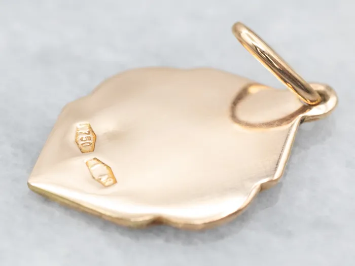 PreStyled Sets Market Square Jewelers Yellow Gold Religious Medal Pendant PreStyled Sets Market Square Jewelers Yellow Gold Religious Medal Pendant