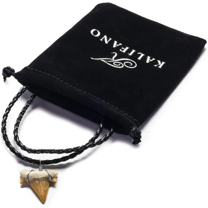 Authentic Fossil Shark Tooth Necklace Alexander Kalifano Necklaces