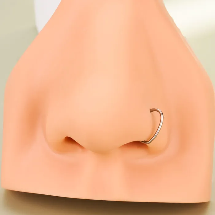 OUFER BODY JEWELRY Rings 20G Titanium Heart Seamless Nose Ring